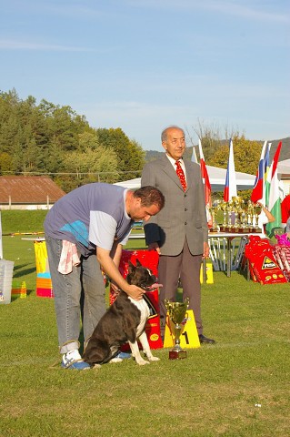 www.boxer-show.eu